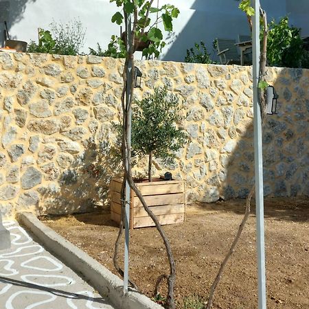 Rustic Private Cottage W/ King Bed In Galanado Naxos Exterior foto