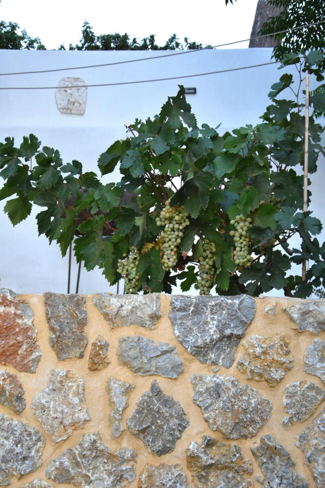 Rustic Private Cottage W/ King Bed In Galanado Naxos Zimmer foto